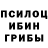 Псилоцибиновые грибы Psilocybine cubensis TraSy
