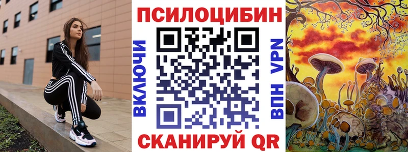 Псилоцибиновые грибы Psilocybine cubensis  Камызяк 